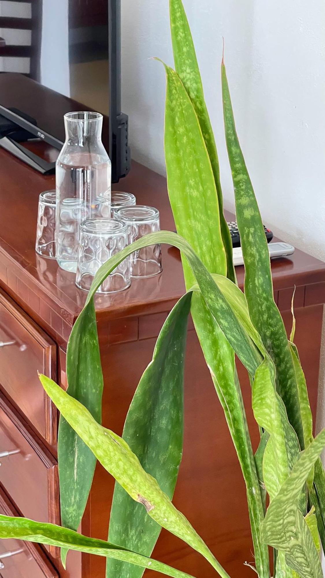 Quinta Alberto Boutique Hotel San Blas Rom bilde