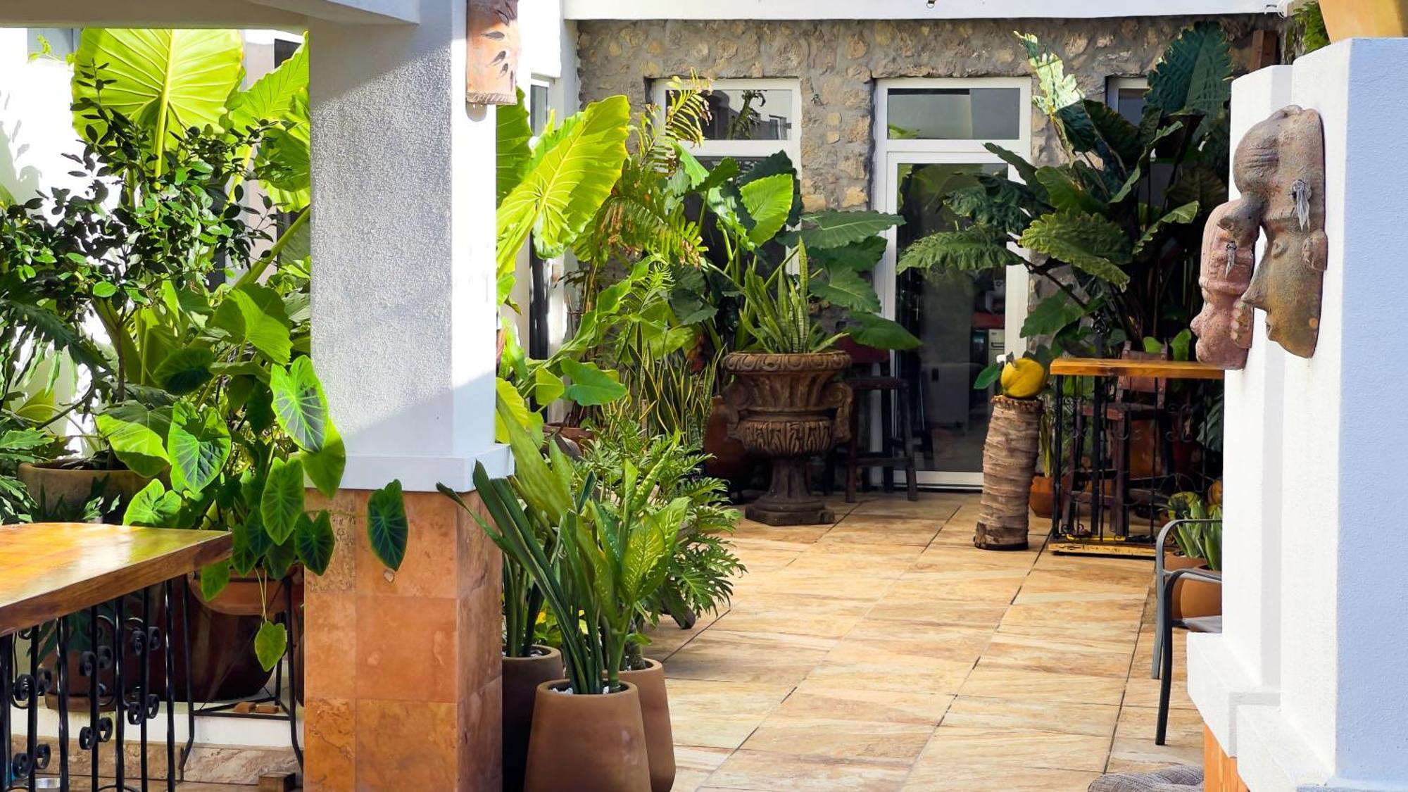 Quinta Alberto Boutique Hotel San Blas Eksteriør bilde